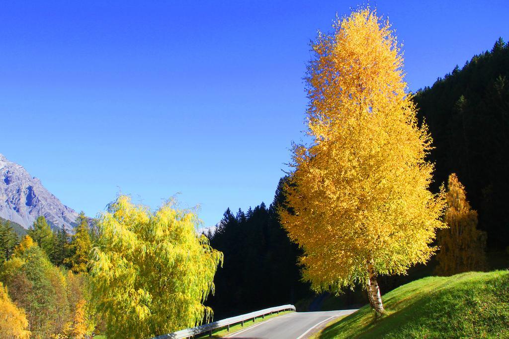 Residence Raethia Tra Bormio E Livigno Pradelle Екстер'єр фото